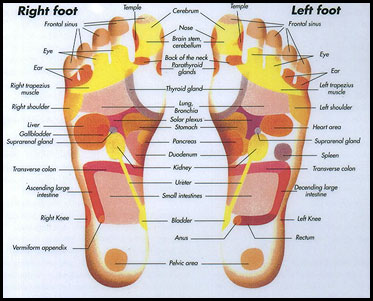 Thai Foot Reflexology Chart